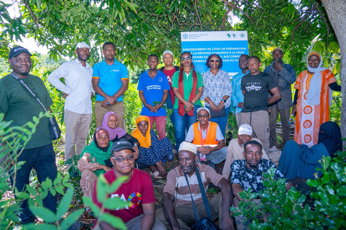 La FAO a reçu la mission de la BAD aux Comores pour suivre le projet SEPAREF.
Résultats concrets sur le terrain : des semences plus performantes et des bénéficiaires satisfaits !
 SEPAREF renforce la production agricole face au climat.
#FAO #BAD