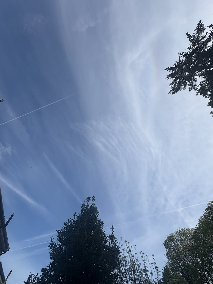 ciaomatt's tweet photo. Lovely toxic filled sky this morning #Bristol #chemtrails https://t.co/nxxfWgEypV