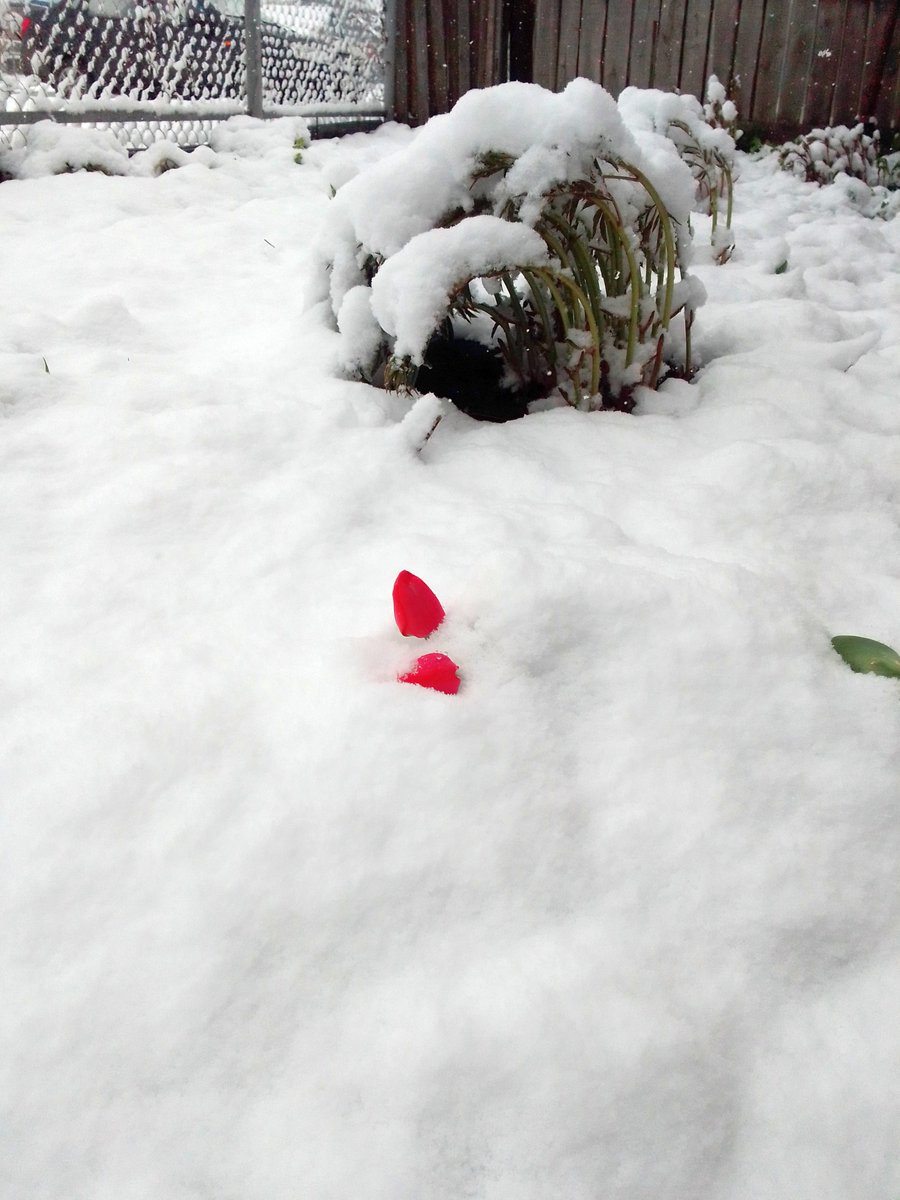 Lovely weather today.