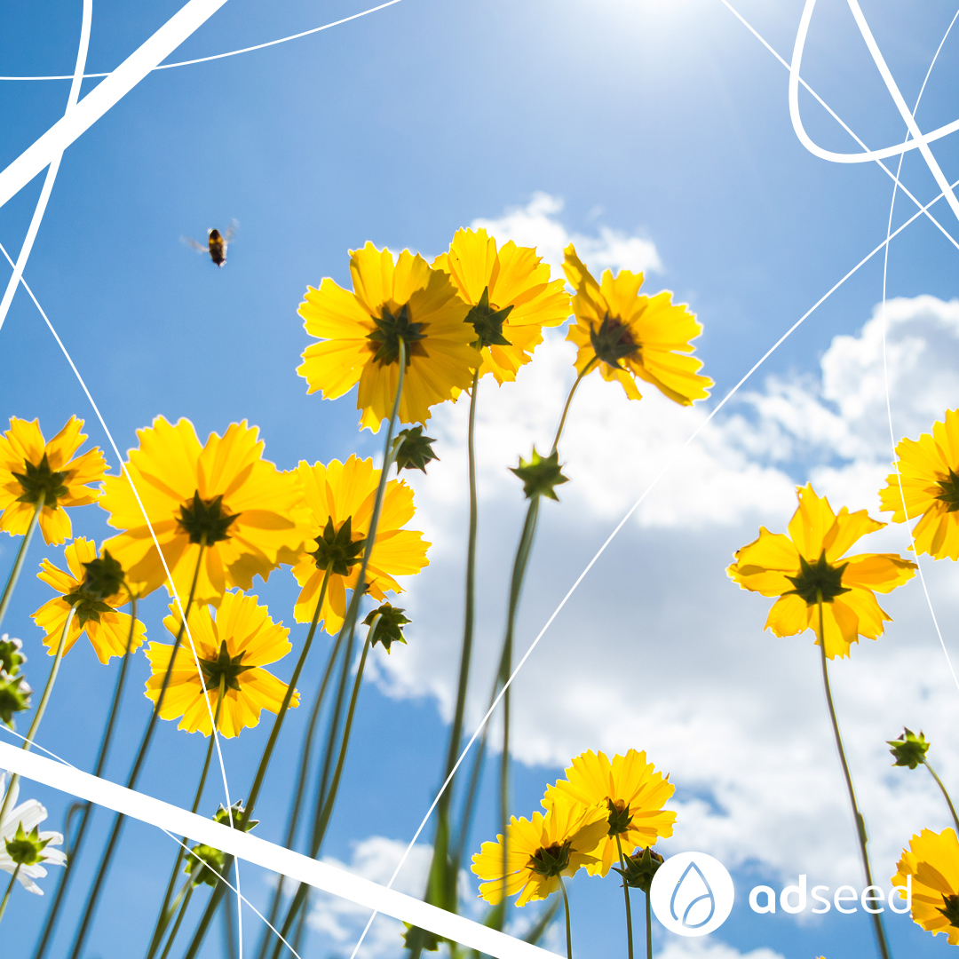 adseed ♥ Performance Marketing tweet media