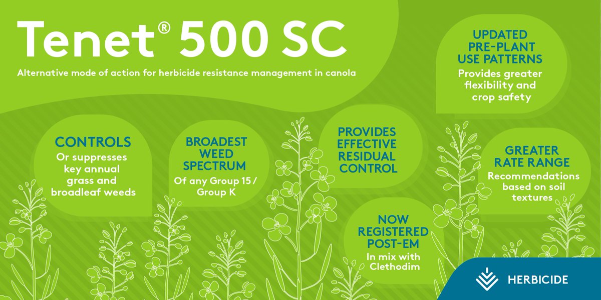 Tenet® – the only Group 15 herbicide registered for post-emergent use. The ideal ‘top up’ in conventional or herbicide-tolerant canola.

Follow the link to find out more: bit.ly/3YP6eXG

#Tenet #ADAMA