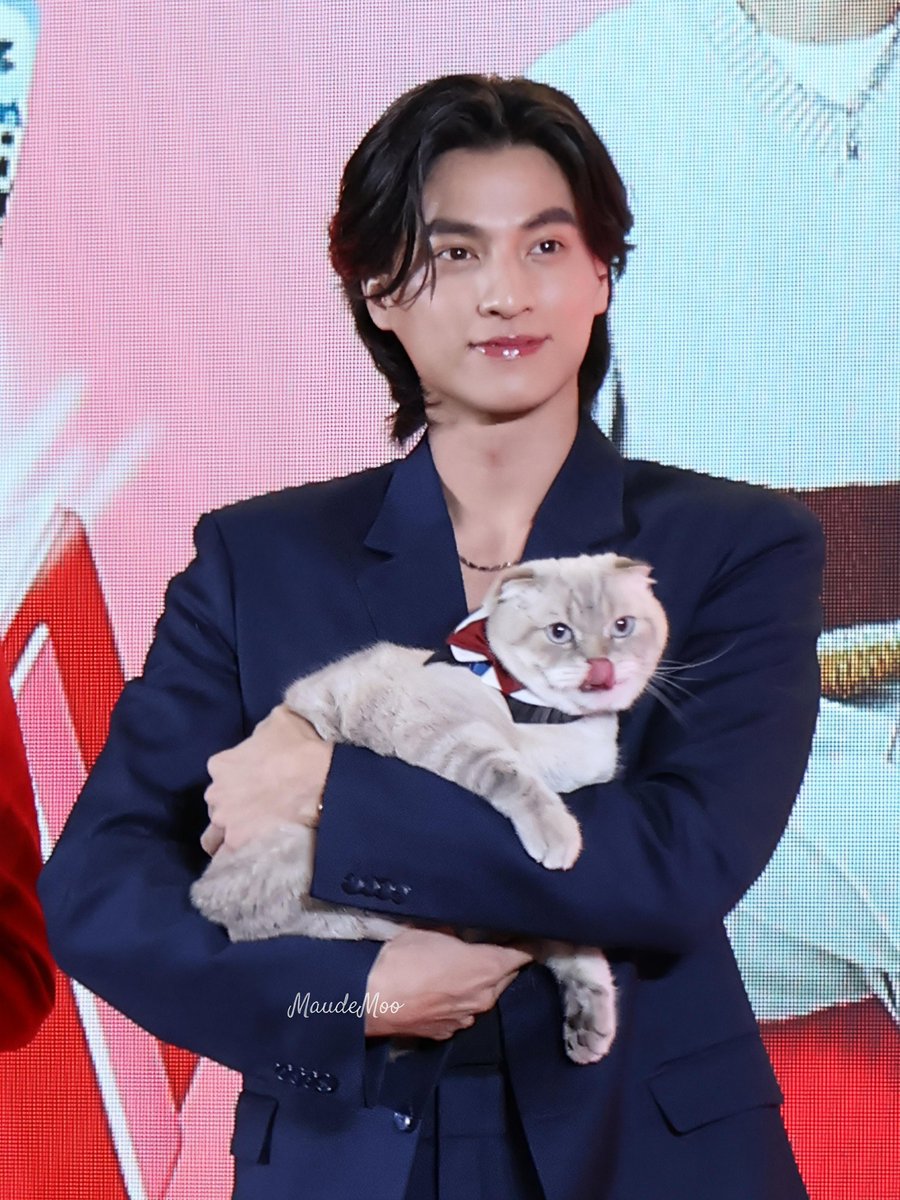 maudemoomo's tweet photo. I  want to be gulf's cat🥺

#GulfKanawut https://t.co/QAqvRg3mwd