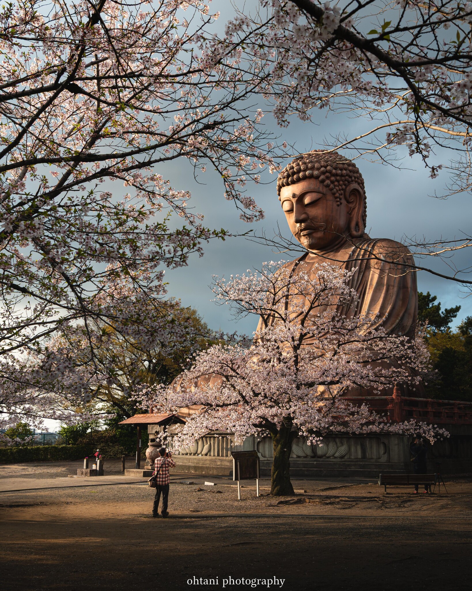 東京カメラ部 on X: 東京カメラ部 on X: