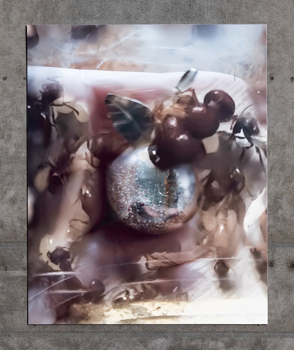 jasia12355 tweet media