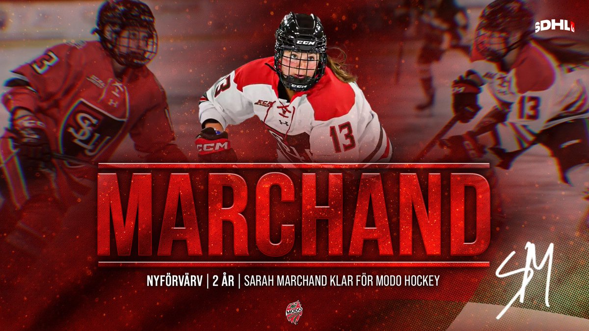 MoDo Hockey tweet media