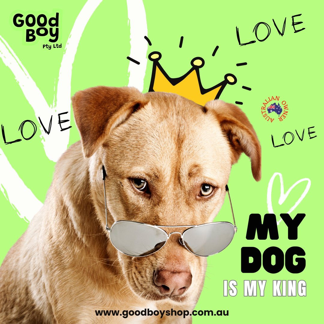 Good Boy Pty Ltd (@GoodBoy_Dogs) / Posts / X