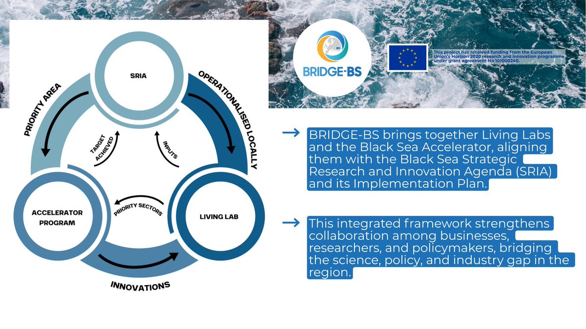Black Sea SRIA IP under focus🔍

<a href="/BRIDGE_BlackSea/">BRIDGE Black Sea</a>, a key implementer of Black Sea SRIA Implementation Plan, connects Living Labs &amp; Black Sea Accelerator, aligning them with Black Sea SRIA IP to drive R&amp;I in #BlackSea.

Haven't read it yet? Catch up here: connect2blacksea.org/the-initiative/