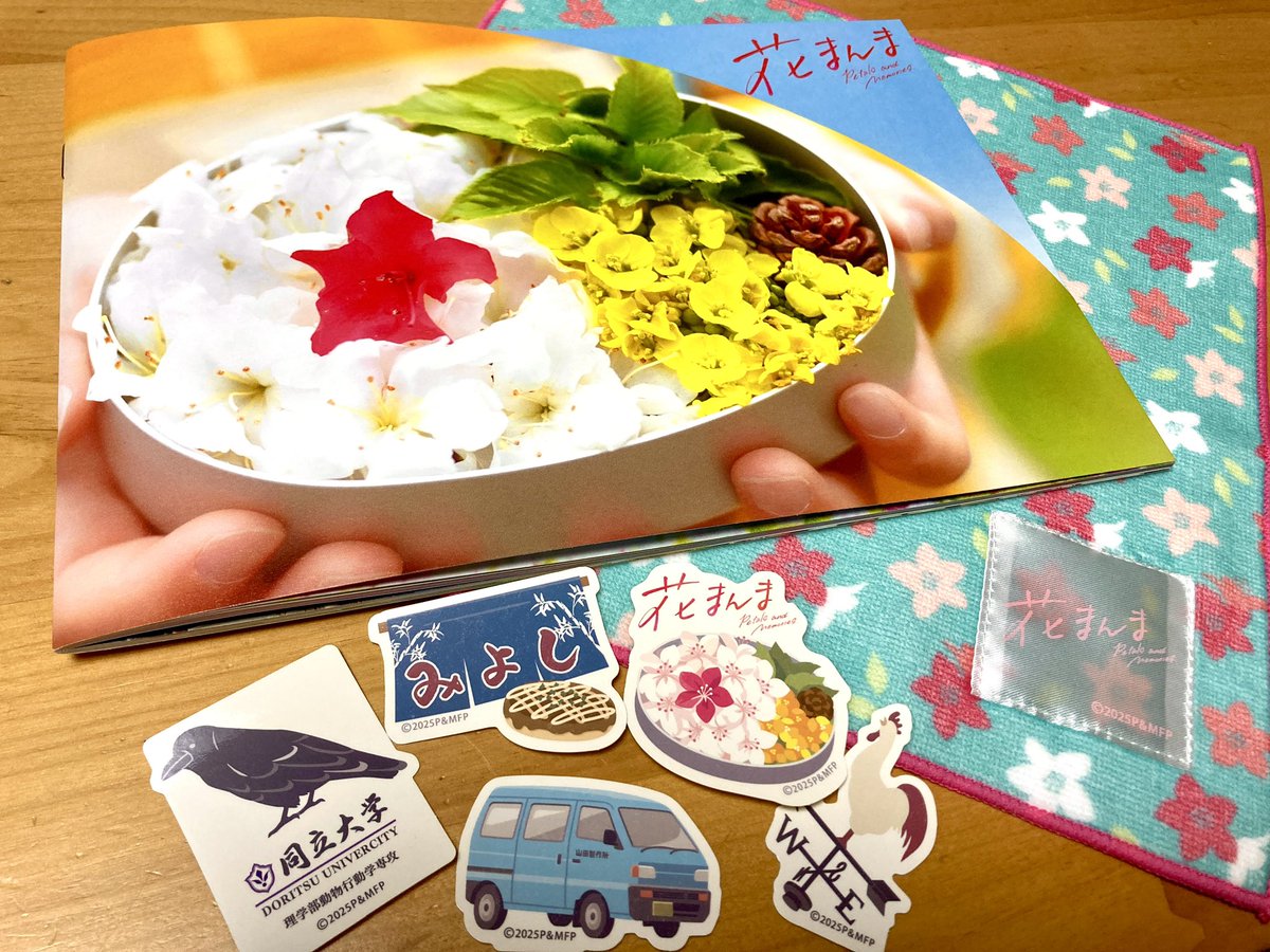 EnergyDeerEPP食品保温箱43L/56L/81L アウトドア・業務用 配膳用発泡スチロールボックス テイクアウト配送