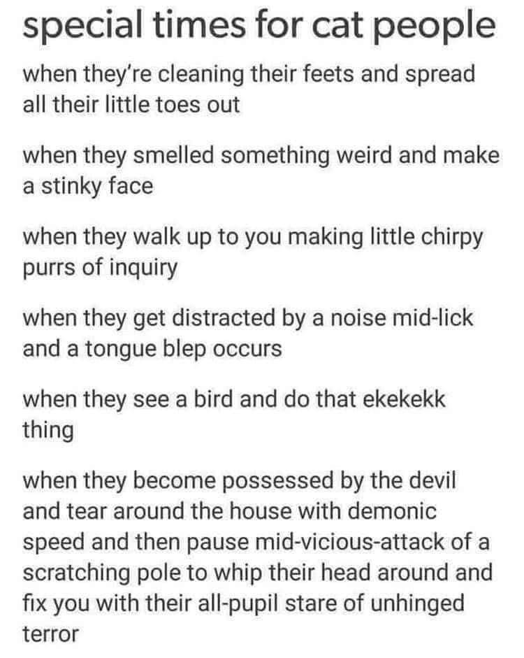 WholesomeMemes (@wholesomememe) on Twitter photo 