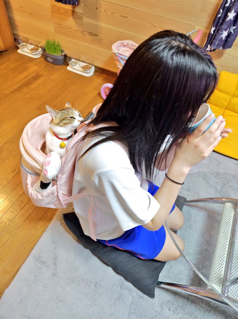 じゃむ猫 (@jamnekodd) / X じゃむ猫 (@jamnekodd) / X