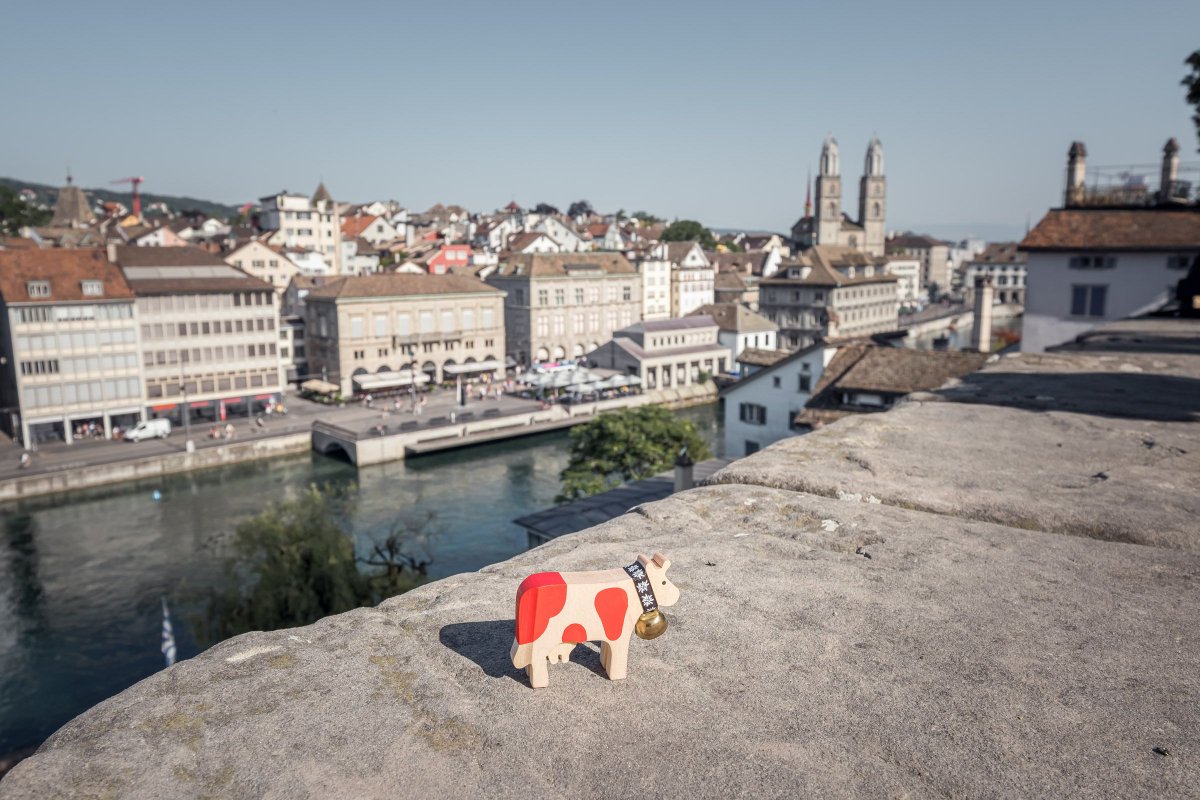 🐮 Today, I felt like taking a stroll through the city! So, will your detective skills help you figure out where I am? 🕵️‍♀️

Here are two clues: 
🇨🇭  It's the largest city in Switzerland. 
🌊 This city is traversed by the Limmat River and bordered by a large lake.

Easy, right? 👇