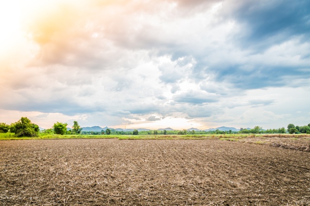 🌎 El campo colombiano evoluciona con agricultura de precisión.

🚜 <a href="/Incauca/">Incauca</a> y PRECISAGRO ® impulsan producción sostenible y cuidado ambiental.

📎 Más información: 

proclamadelpacifico.com/reflexiones-qu…

whatsapp.com/channel/0029Va…

#DíaDeLaTierra #AgroSostenible