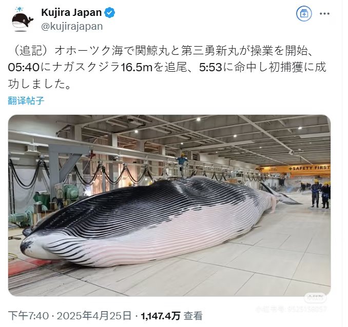 indigoxy's tweet photo. @hezuruy Rather than launching narrow-minded and targeted attacks against the Chinese people, you'd better take care of your own business. The act of hunting dolphins and whales is disgusting. https://t.co/LnFL352ypG