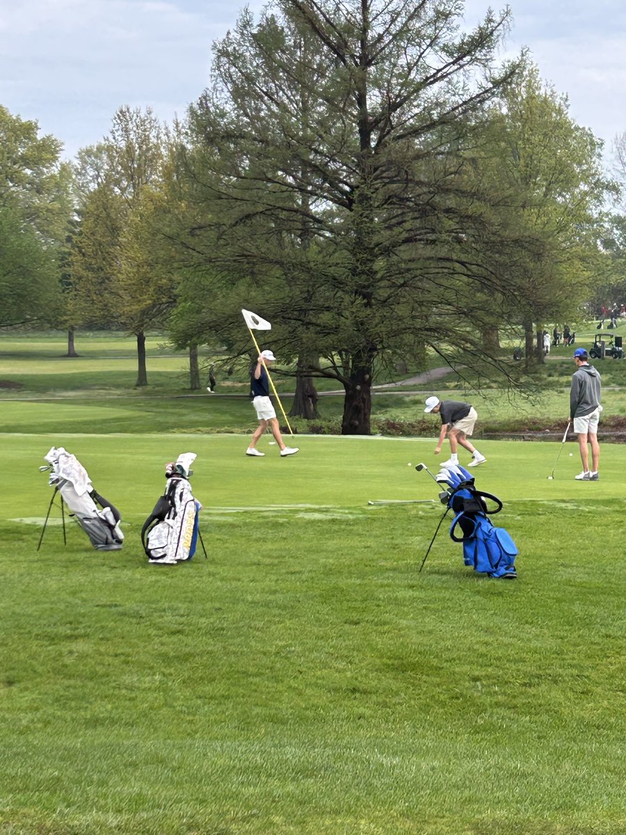 Gavin Johnson tweet media