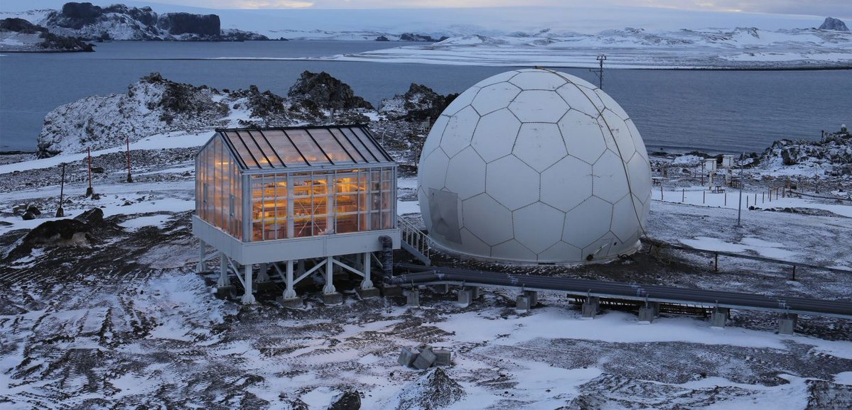 UnseenOps's tweet image. Love non-permissive gardening, the more hostile the environment the better. Can't wait for the first full-size greenhouse in orbit.