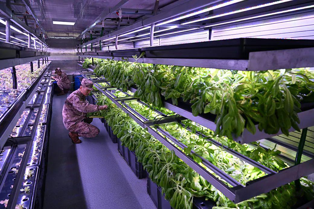 UnseenOps's tweet image. Love non-permissive gardening, the more hostile the environment the better. Can't wait for the first full-size greenhouse in orbit.