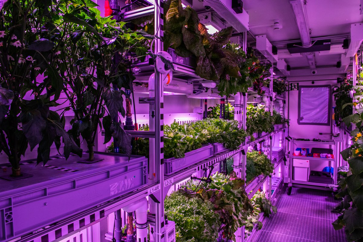 UnseenOps's tweet image. Love non-permissive gardening, the more hostile the environment the better. Can't wait for the first full-size greenhouse in orbit.