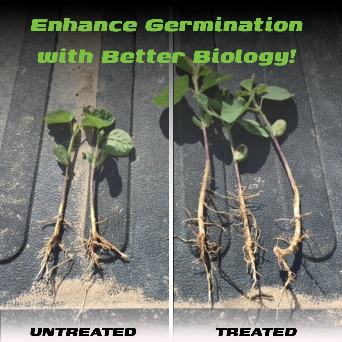CanGrow ReSTore - a liquid biological seed treatment designed to promote quick germination, a more robust root mass and plant vigour. ReSTore includes a food source for biological survival for seed applications ahead of planting. ReSTore can be applied to any crop. 🌱 #cangrow