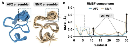 More use of AlphaFold2 ensembles: 557 peptides, 80 poses each, with ensemble RMSD &lt; 2.5 Å, RMSF &lt; 1.5 Å vs NMR. 

Interestingly, MSA depth? Largely irrelevant. 

Sequence alone is hinting at dynamics, not just shape.