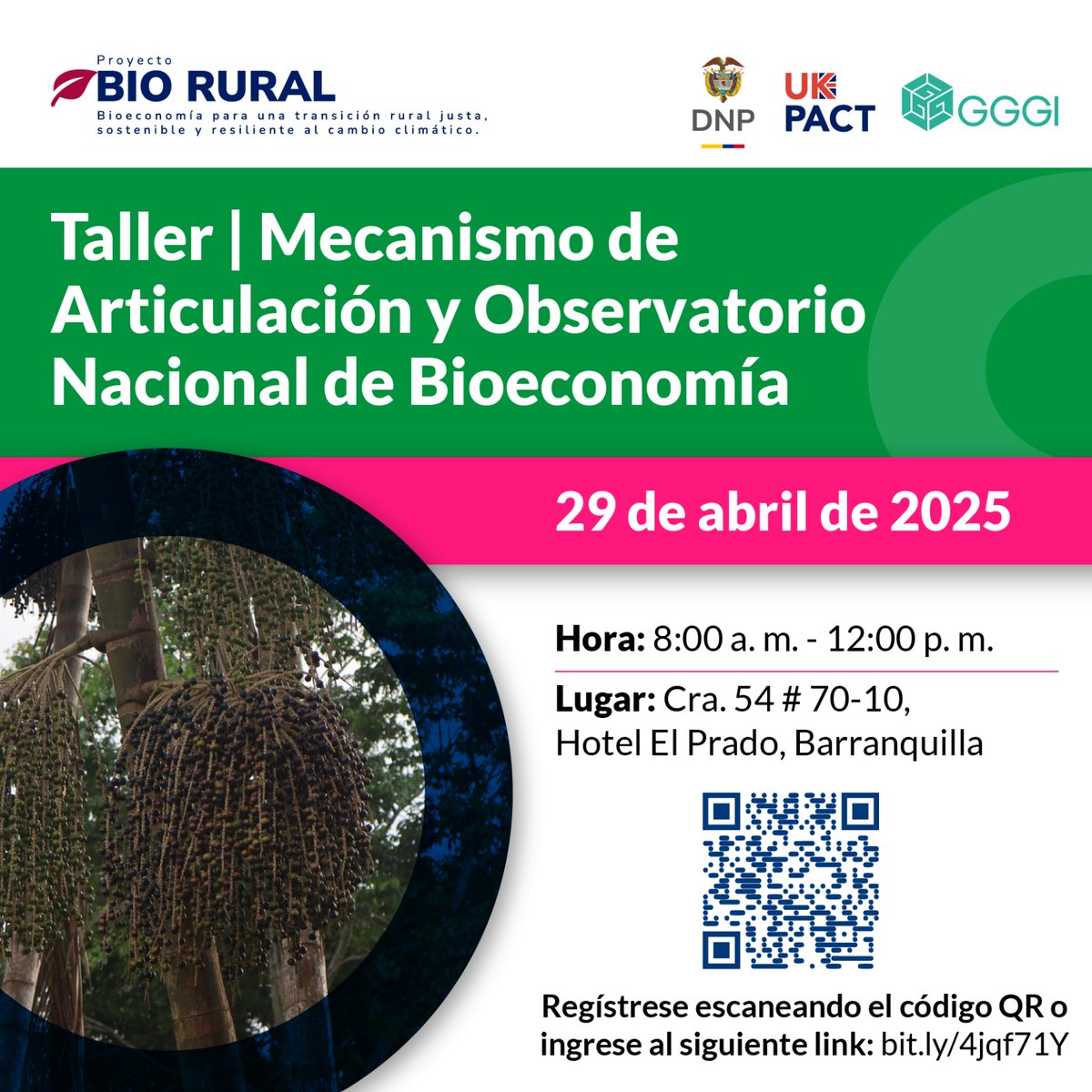 🌿 ¡La bioeconomía en el Caribe se fortalece! 

¿Eres parte de un proyecto, empresa o entidad pública comprometida con los avances de la región en materia de bioeconomía? 

El #DNP y <a href="/GGGICol/">GGGIColombia🌱</a> te invitan al taller: "Mecanismo de Articulación y Observatorio Nacional de