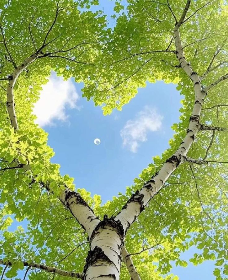 Solithra's tweet image. 