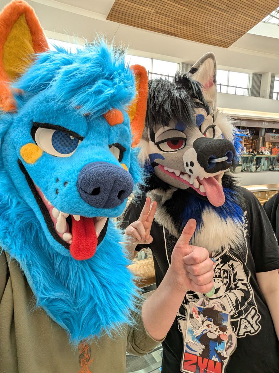 Zym!🔜CfZ tweet media