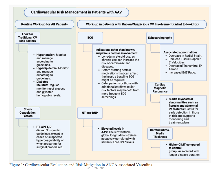 Cardiovascular involvement in ANCA-associated vasculitis

doi.org/10.1093/ndt/gf…