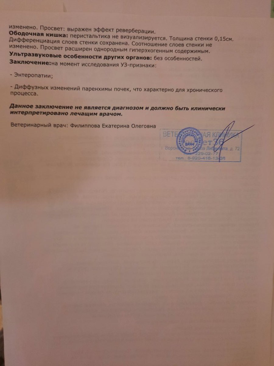 Прошу помощи для котика моей подруги
Снежок заболел - плохо кушает, тошнит. Врач поставил проблемы с зубами, требуется удаление зубов, ему больно есть. Но сейчас пришли анализы: высокий креатинин и мочевина - требуется дорогой препарат Ипакетине
Сбер +79009331913
2202206330043519