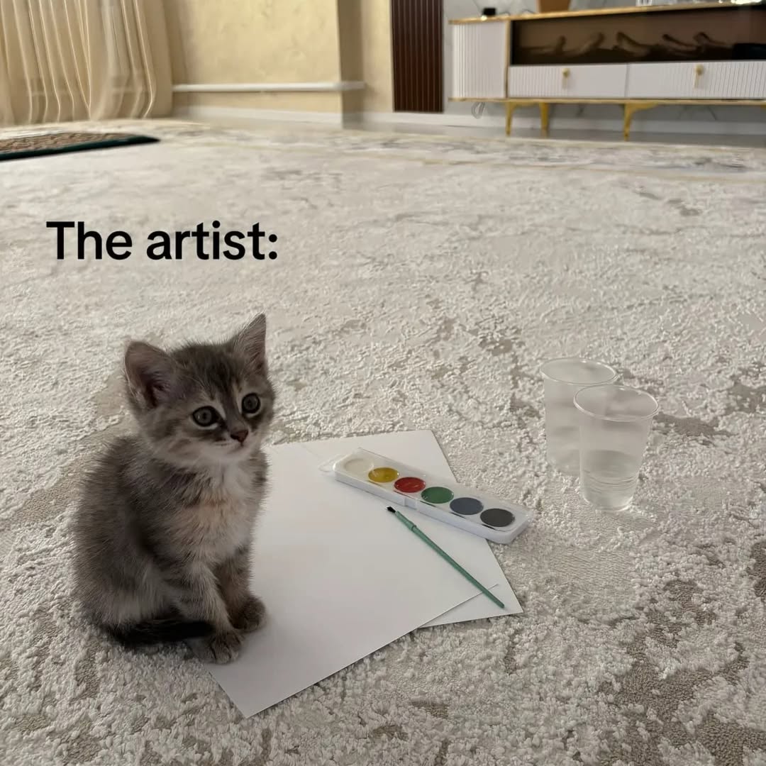 smol silly cat tweet media