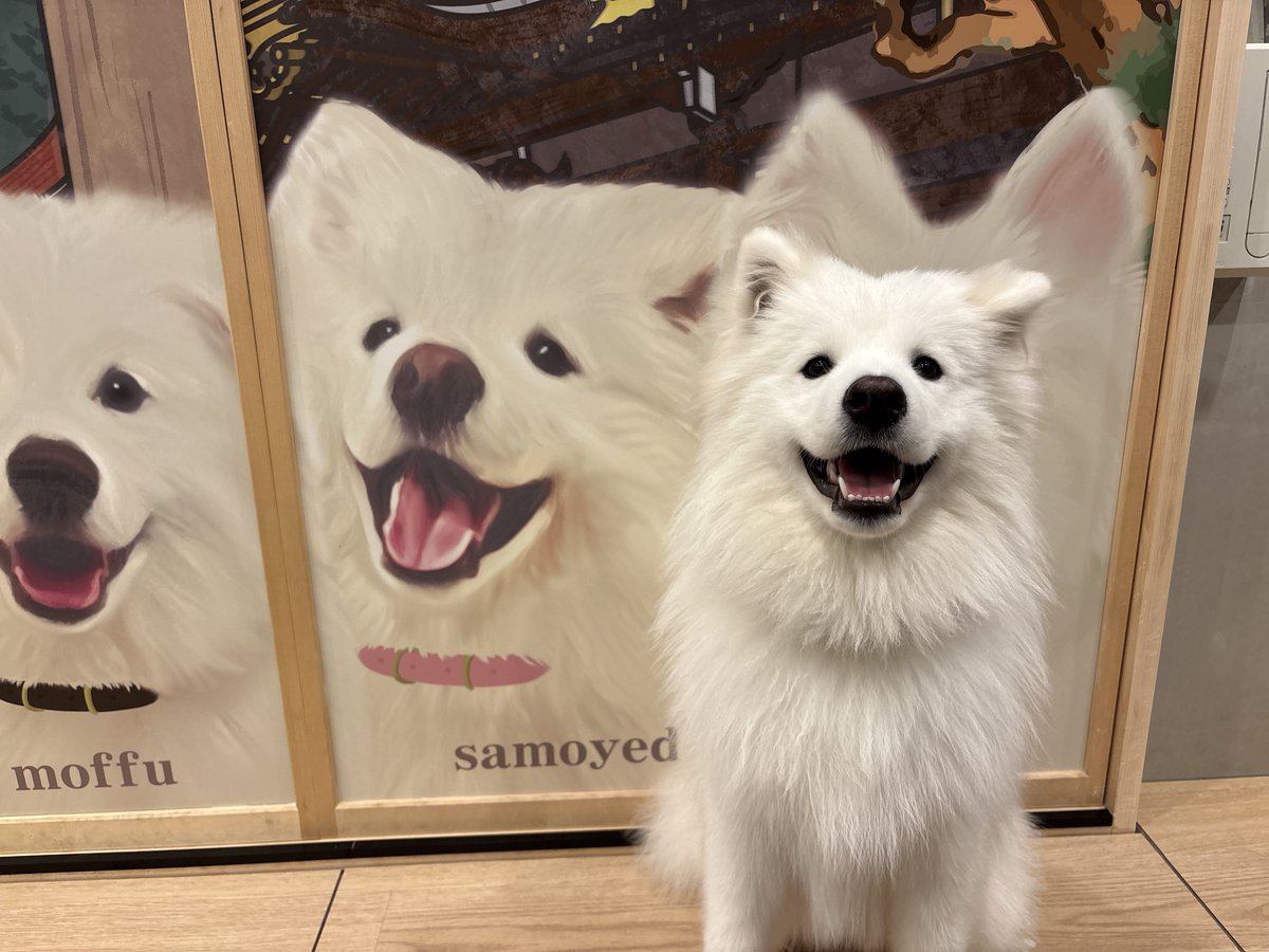 竹下通り店、リニューアルしました✨️ 何やらみんなにそっくりの