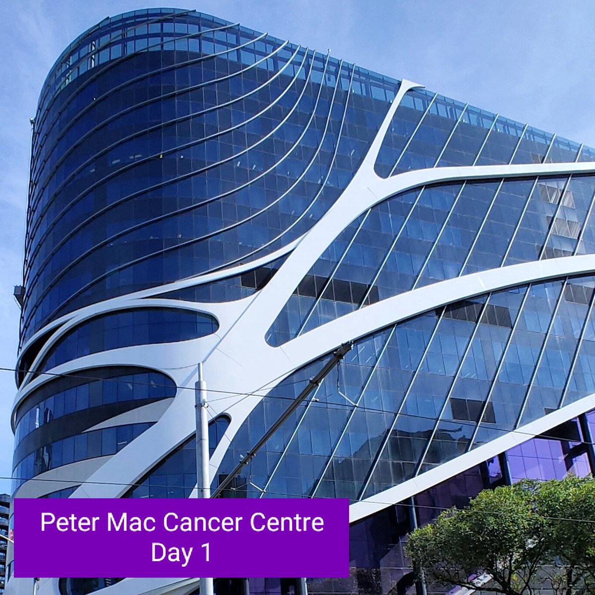 Ash Rozario (@dr_ash_rozario) on Twitter photo Very #grateful to now be working at <a href="/PeterMacCC/">Peter Mac Cancer Centre</a> as an Optical Microscopist in <a href="/CahmPmcc/">Centre for Advanced Histology and Microscopy</a>!! π Really excited to start driving some powerful setups!! π¬And looking forward to training researchers to capture amazing fluorescence images!! Maybe even some #superresolution too!! Very #grateful to now be working at <a href="/PeterMacCC/">Peter Mac Cancer Centre</a> as an Optical Microscopist in <a href="/CahmPmcc/">Centre for Advanced Histology and Microscopy</a>!! π Really excited to start driving some powerful setups!! π¬And looking forward to training researchers to capture amazing fluorescence images!! Maybe even some #superresolution too!!