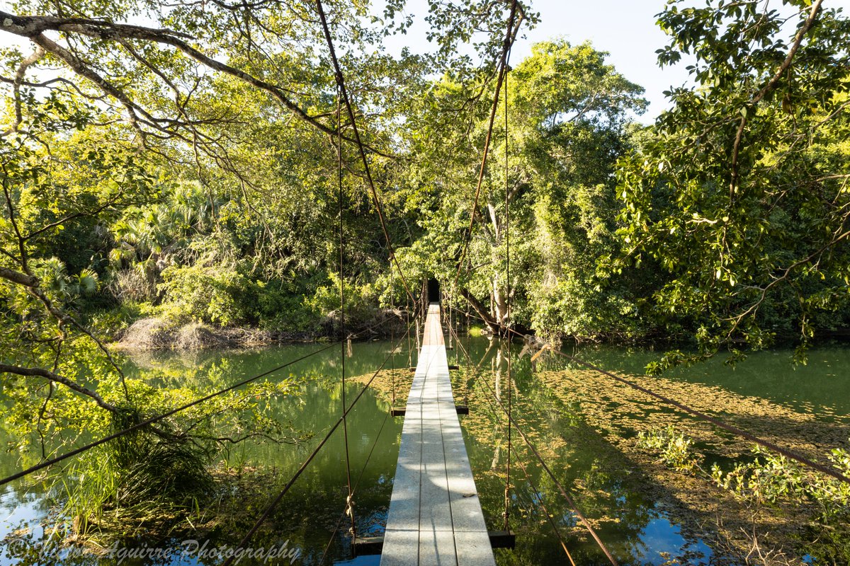 VicksZX's tweet image. Magical Vacations at Campeche #campeche #MexicoMagico #touristadventures #travel #NaturePhotography