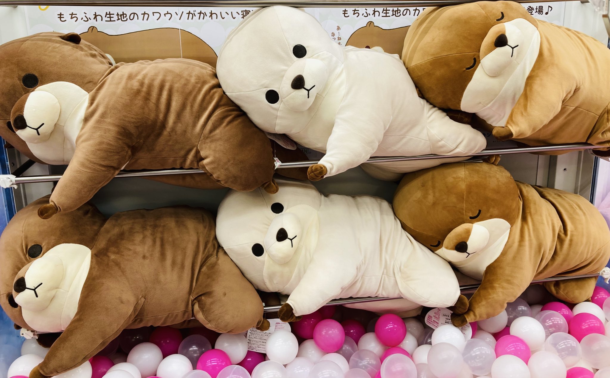 ≪4月の新商品≫くったりカワウソもちふわごろりん-NEW ITEM