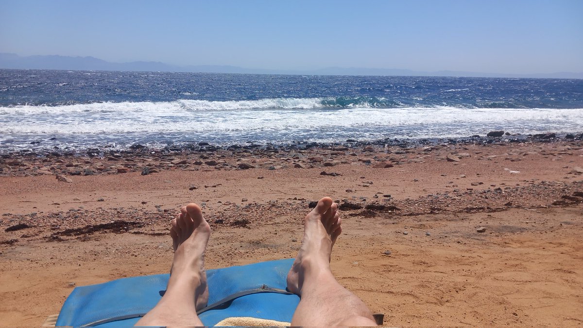 Egun on #dahab etik!
#oinak #feet #pies #sinai