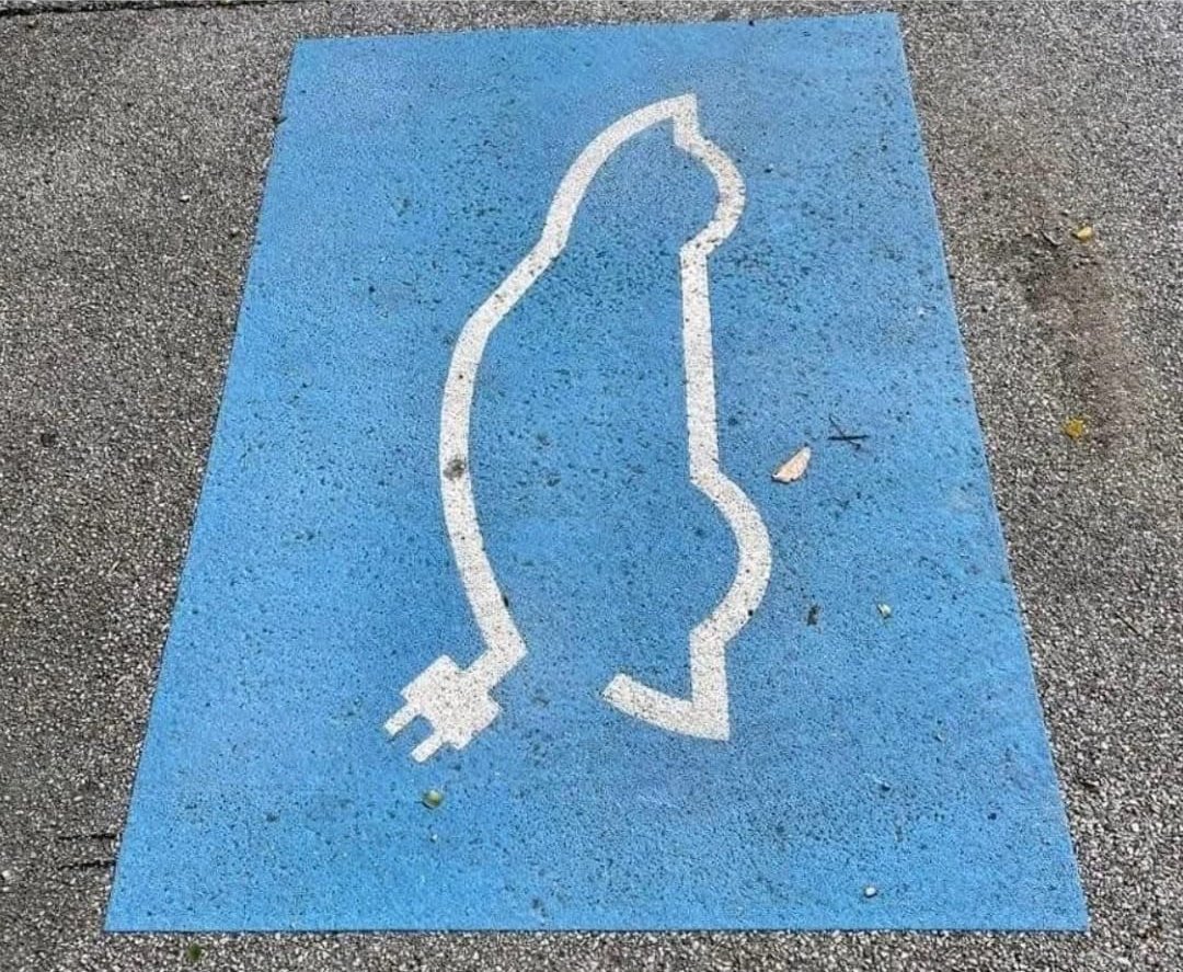 The latest Tesla charging bays now include spaces specifically for charging your cat 😺