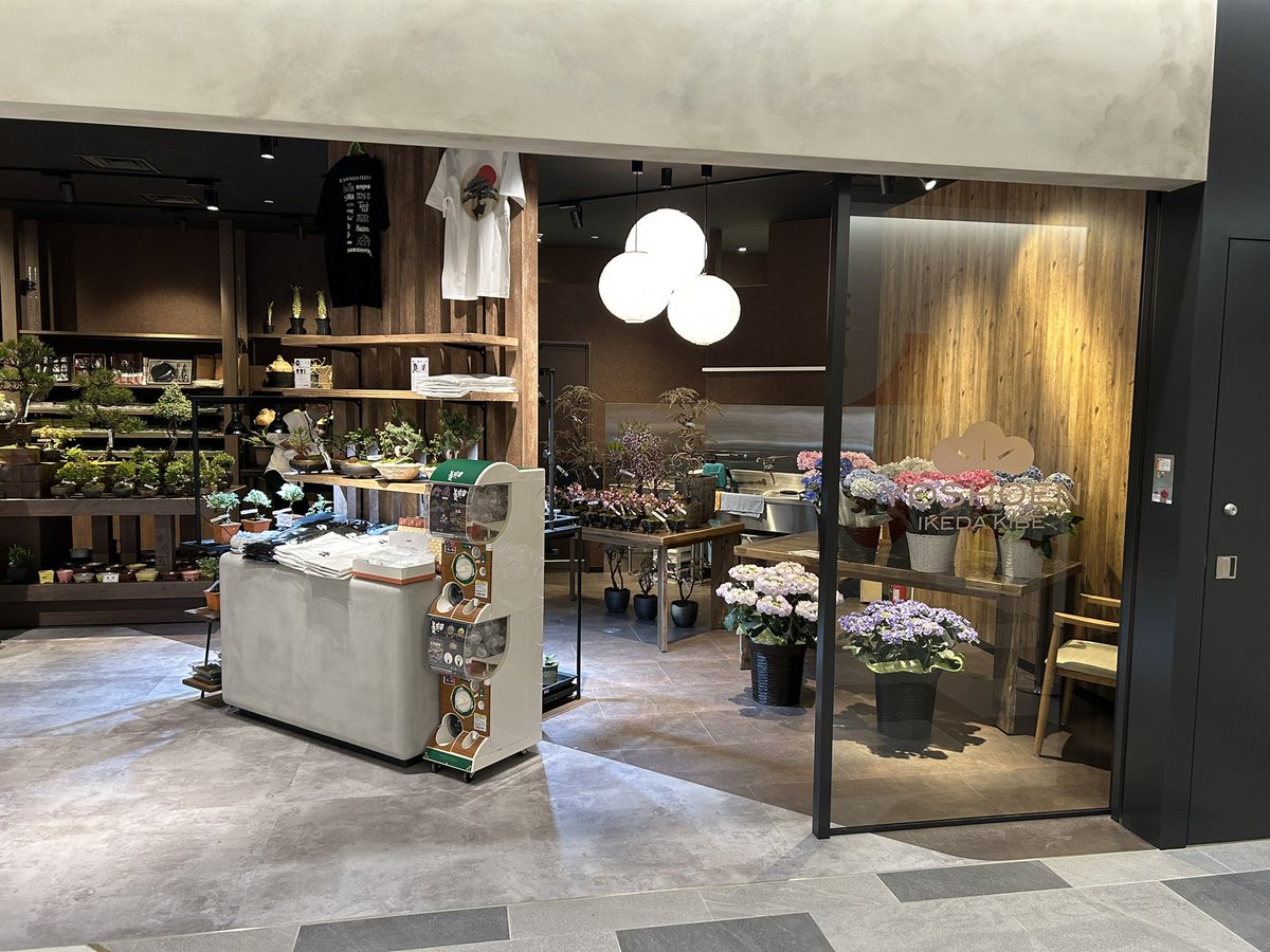 aketo_bon's tweet photo. お陰様で無事KITTE大阪店オープンしました！梅田に来る時は是非お立ち寄りください。　#養庄園　#KITTE大阪 #盆栽 https://t.co/pygmhrtApr