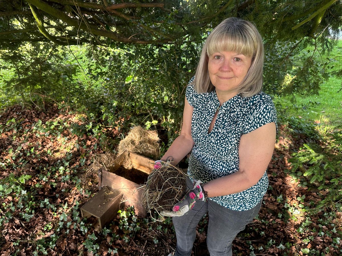 Array4H's tweet image. Bye to Chomp and Birchy xx stay safe xx 🦔❤️🦔 #hedgehog #hedgehogs