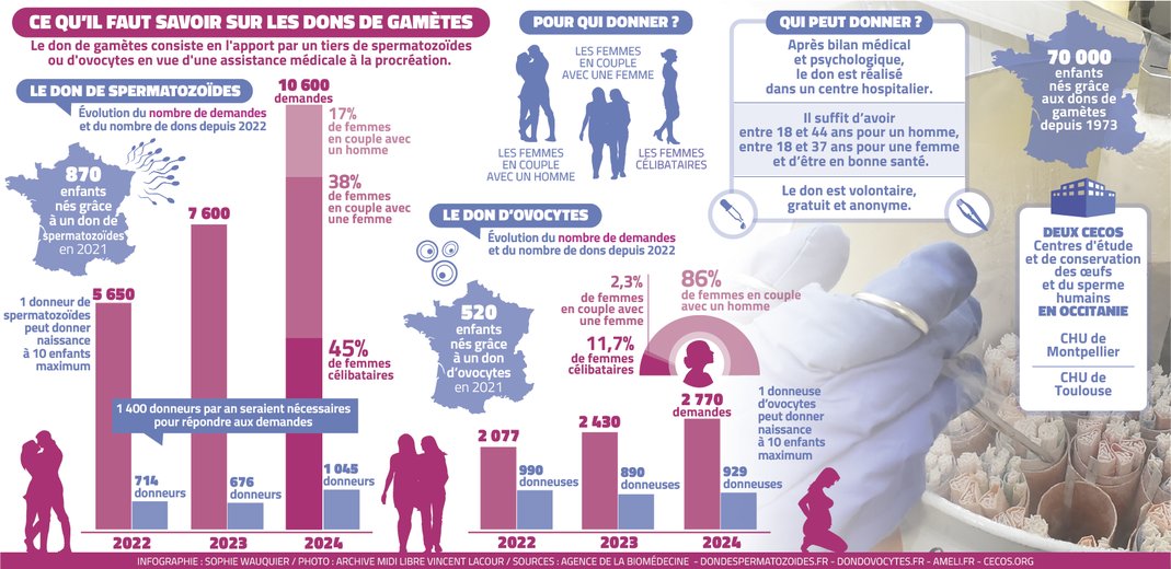 #Santé #PMA Procréation médicale assistée en manque de gamètes : 10600 demandes de spermatozoïdes pour 1 045 donneurs / 2770 demandes d'ovocytes pour 929 donneuses. Pour qui donner ? Qui peut donner ? La réponse en #infographie midilibre.fr/2025/04/26/pro…