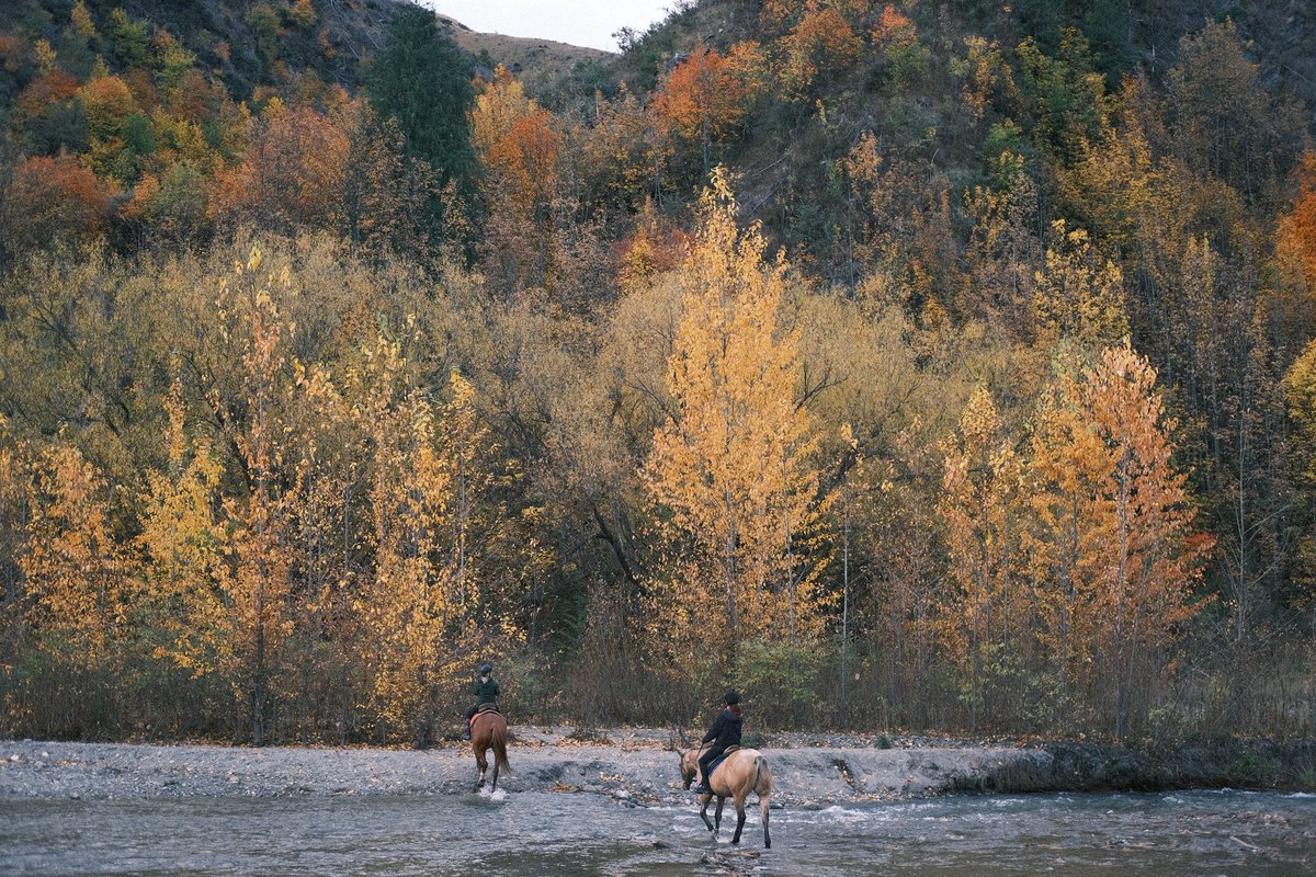 大❌富㍿ tweet media