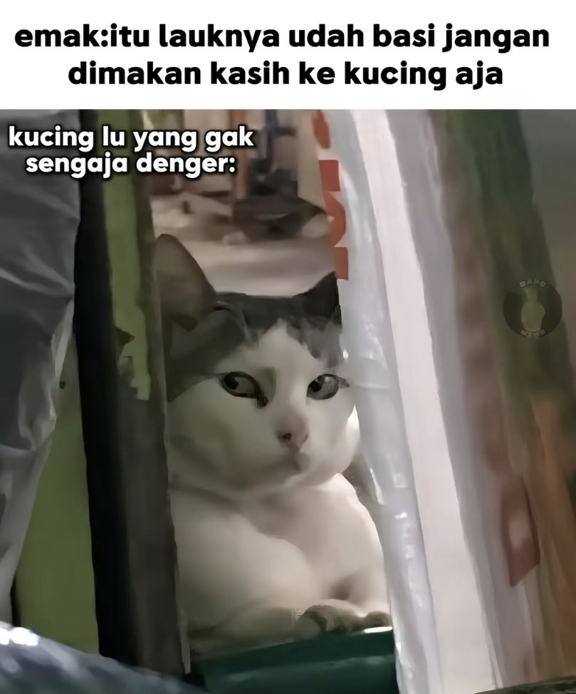 🐔: mending lu.. lah gue
😾 : Tabur tai itu nyata