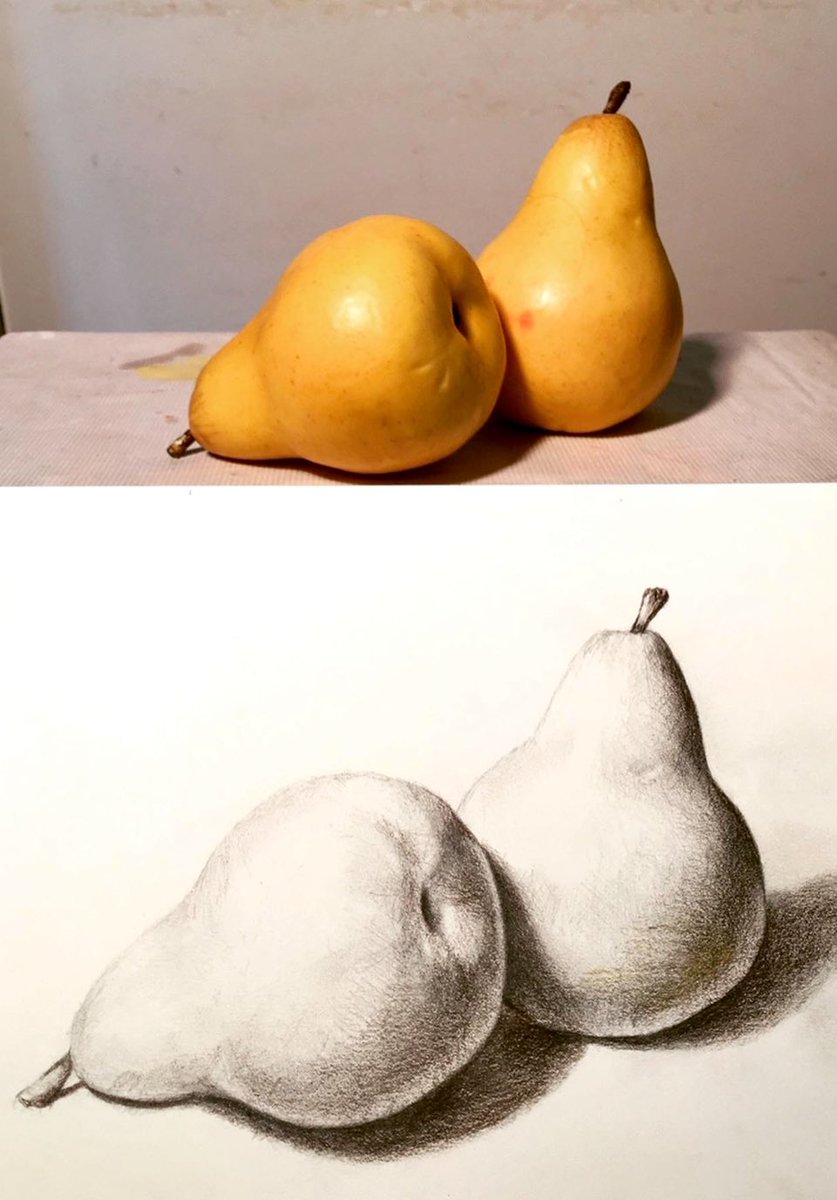 色鉛筆画 🖍️ AKITAKIKO (@kibisukibisu888) / Posts / X