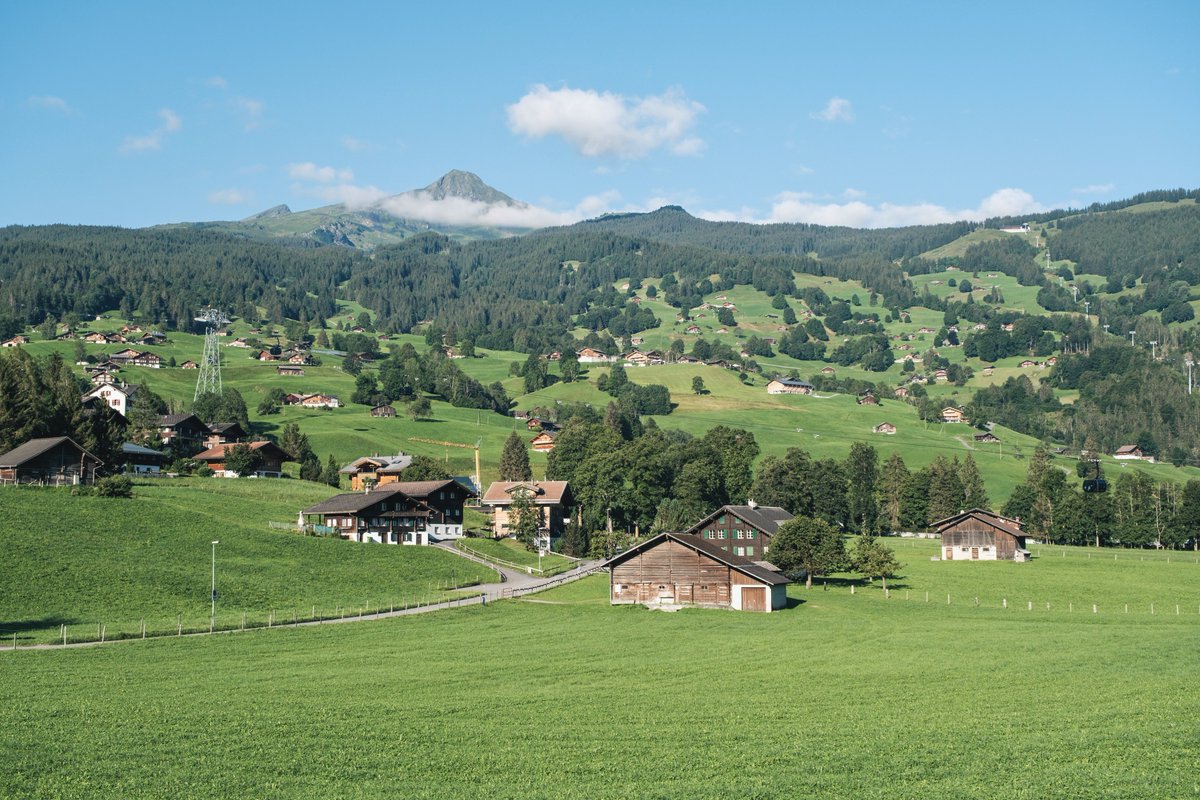 inazumanophoto's tweet photo. Morning in Grindelwald https://t.co/rt5s3COW2X