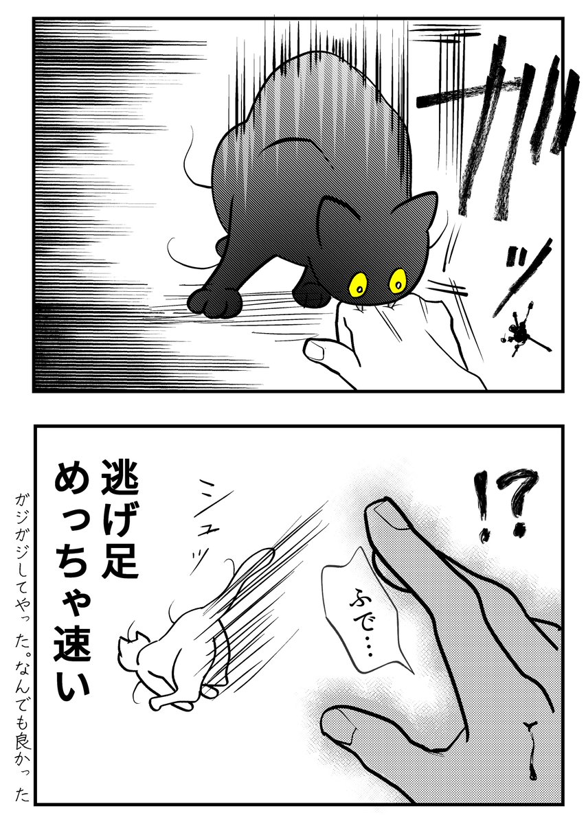 猫「わからせてやるよ」 実力行使編

(3/7) 