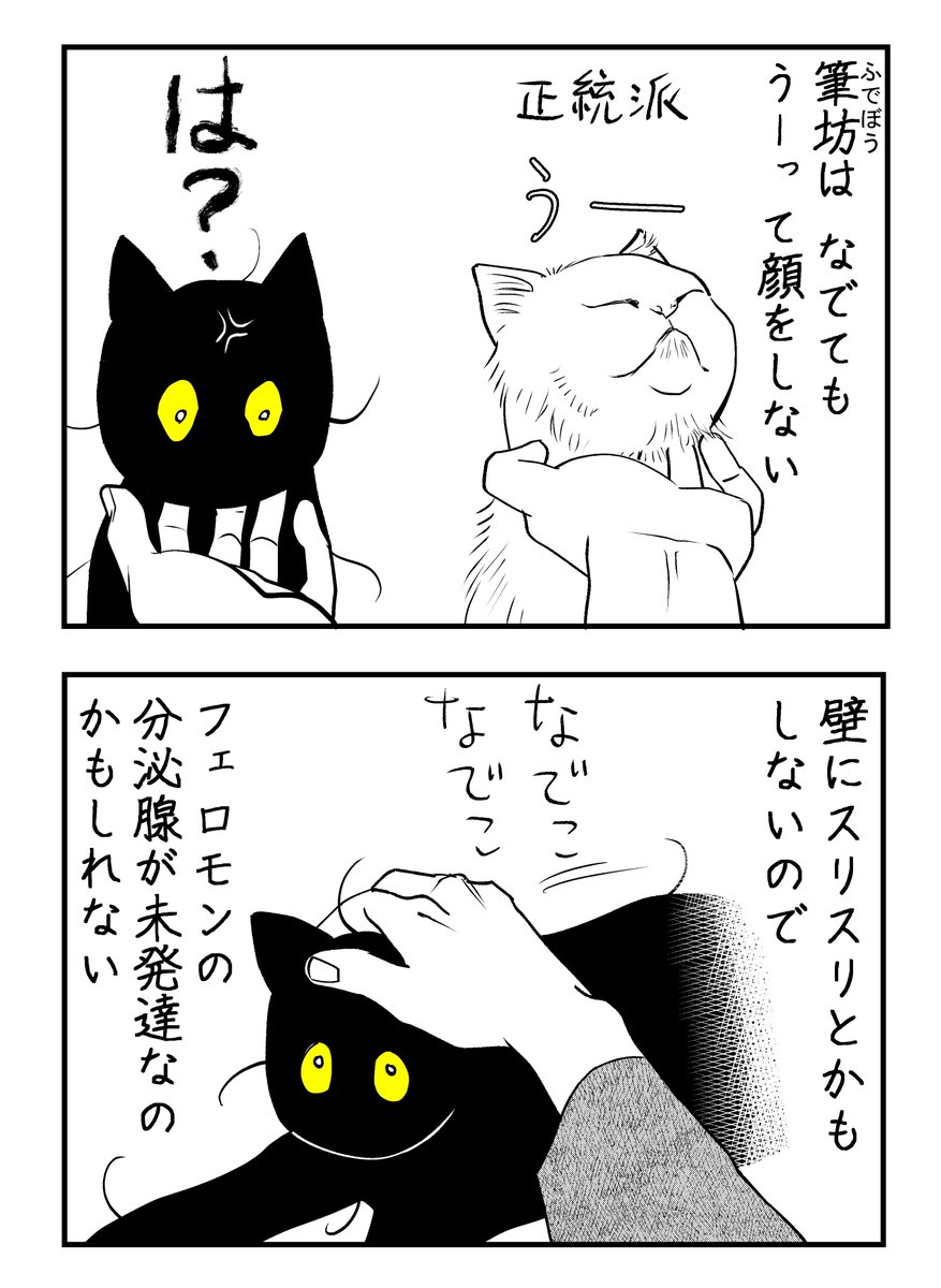 猫「わからせてやるよ」 実力行使編

(3/7) 