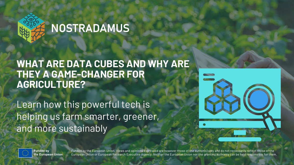 AgFuturaMKD's tweet image. 🔍 What are 𝗗𝗮𝘁𝗮 𝗖𝘂𝗯𝗲𝘀?

In the @Nostradamus_HE project, we use them to turn Earth Observation data into real-time insights.

👉 nostradamus-project.eu/what-are-data-…

#SmartAgriculture #EarthObservation #DataCubes #DigitalFarming #HorizonEU #FarmToFork #Sustainability