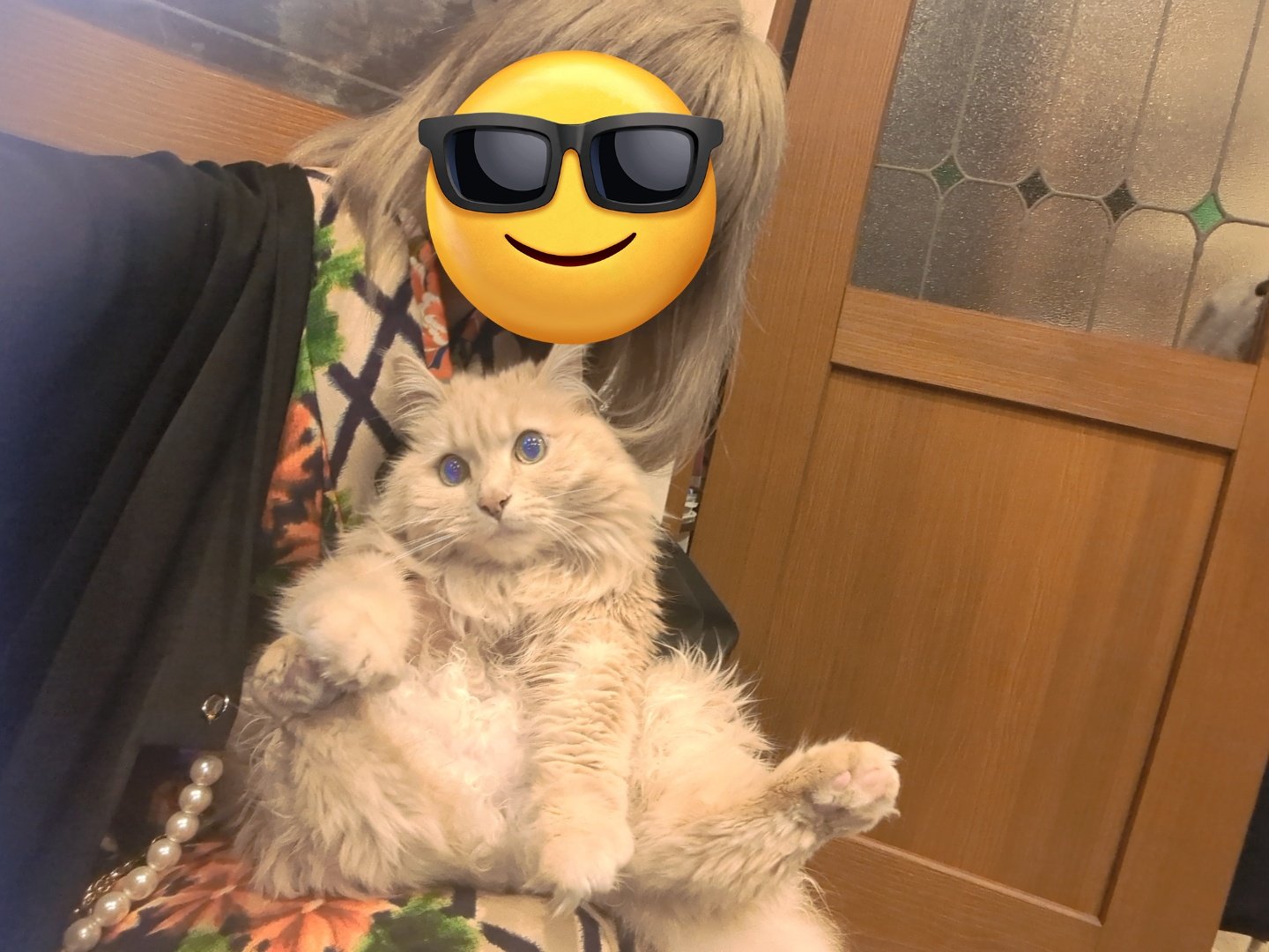 豆千代モダン 🎀(5/21~27 新宿伊勢丹 出店します 豆千代モダン 🎀(5/21~27 新宿伊勢丹 出店します