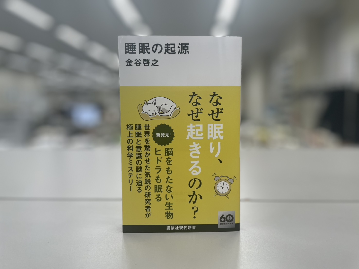 Hiroyuki Kanaya (金谷啓之) (@simpletocomplex) / X