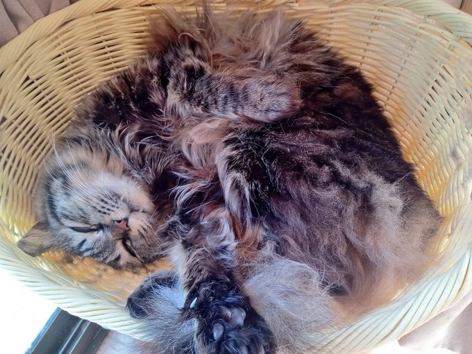 ใใฆใฆใดใผใๅฏ