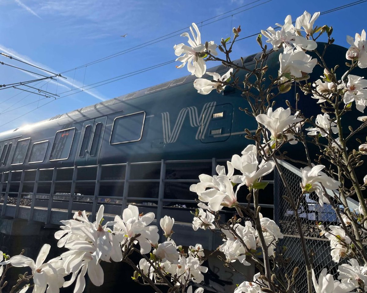 Snø i nord, blomstring i sør. April er kanskje måneden hvor Norge er lengst. 

Her har Arnhild Sandbakken fanget blomstringen foran et Flirt-sett, mellom Hamar og Brumunddal. 🌼 

Ha en fin uke, enten du måker eller raker!