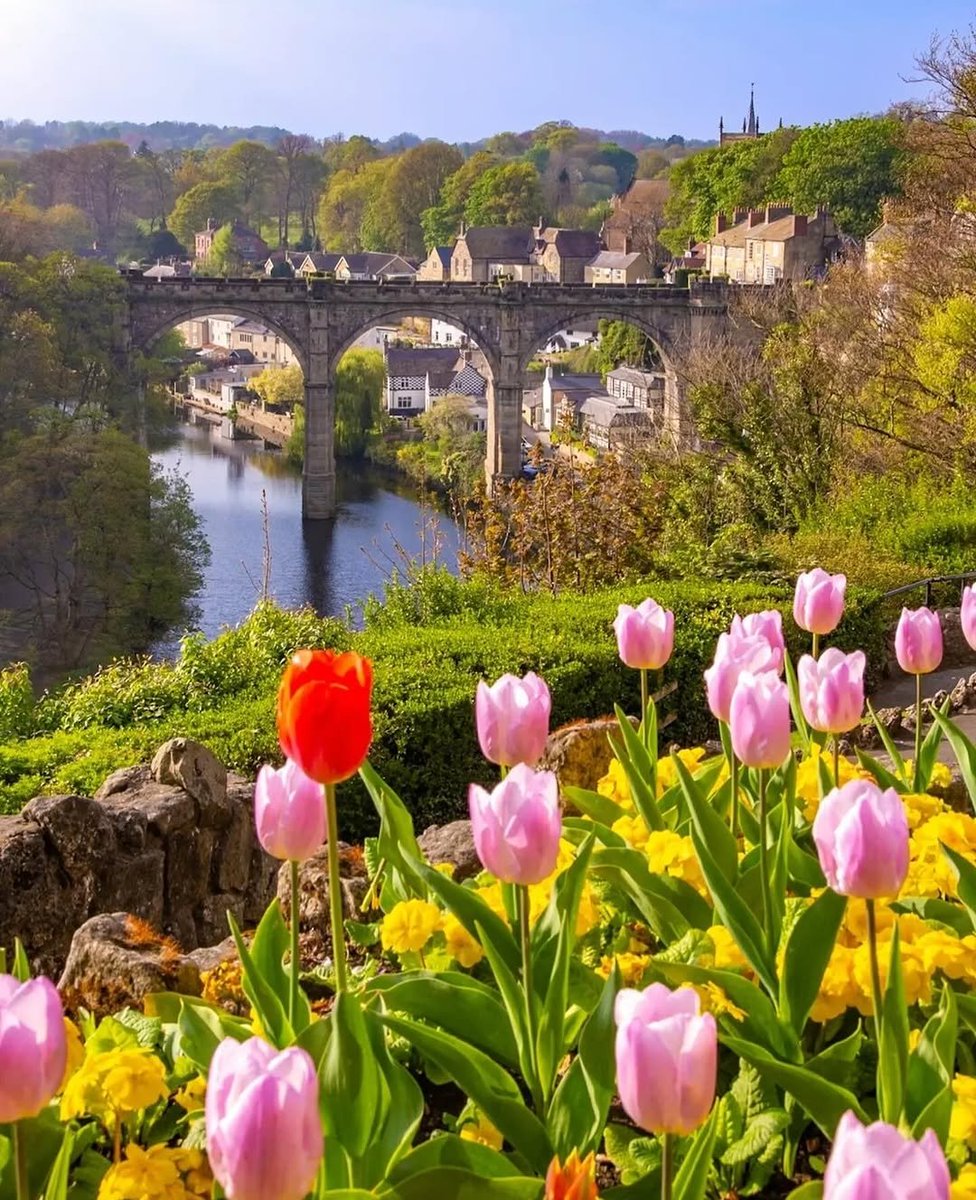 Good Morning from Knaresborough 🌷